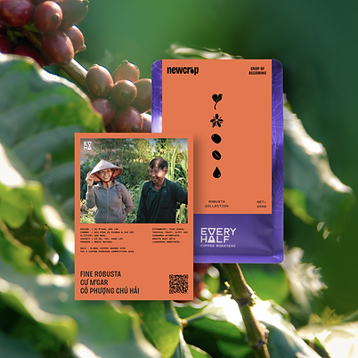 VieBean Fine Robusta coffee from Vietnam